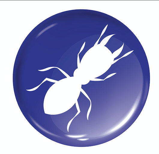 Diagnostic termites